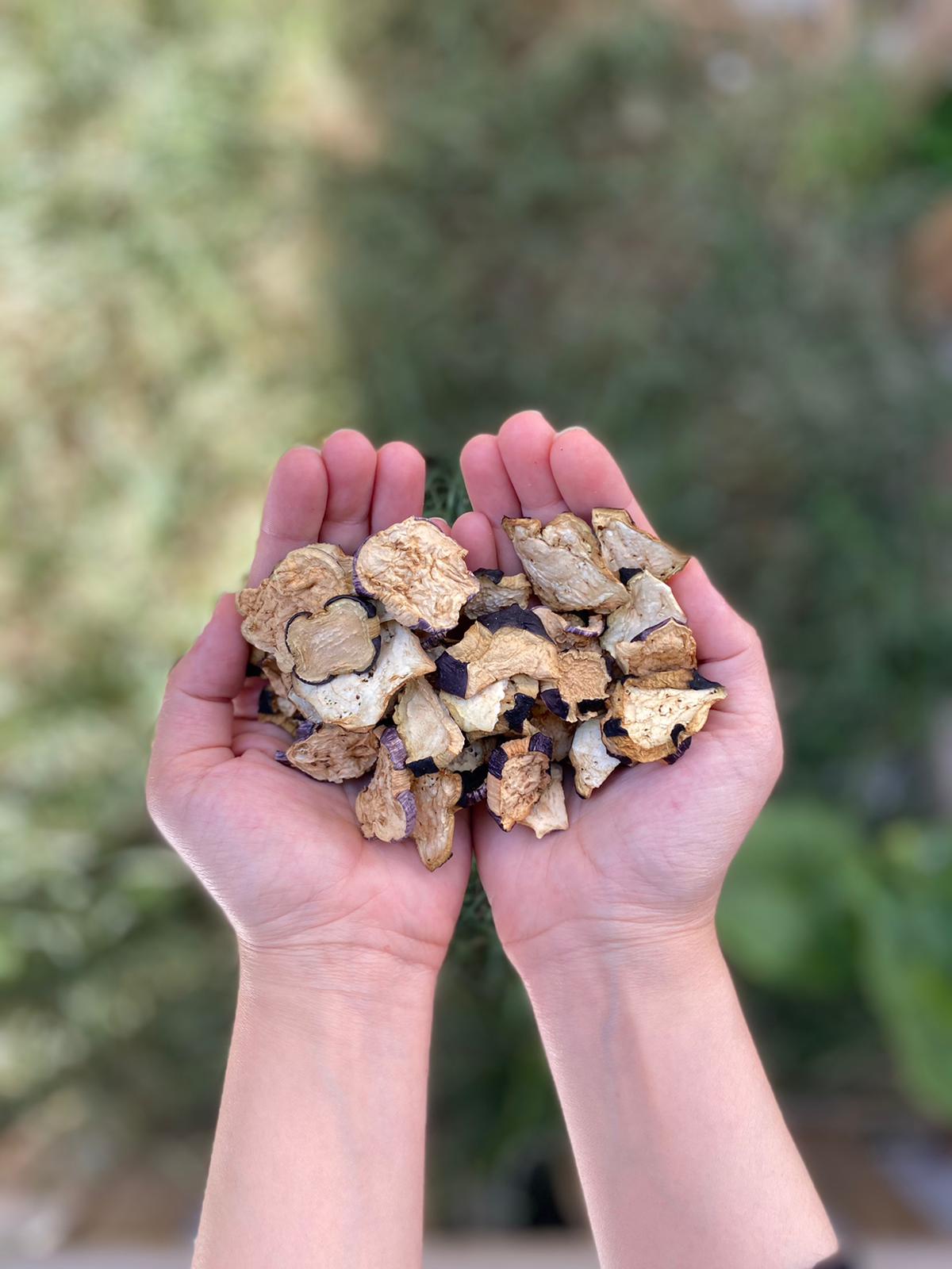 KURUTULMUŞ PATLICAN 30 GR