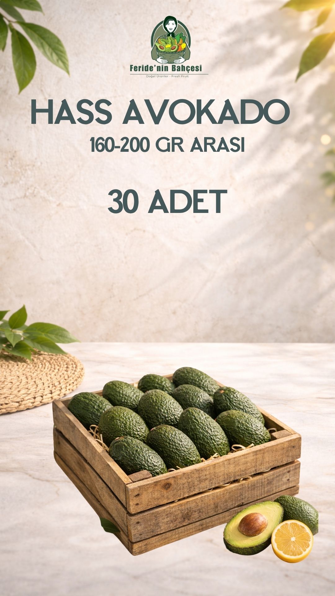 30 ADET HASS AVOKADO (160-200 GR ARASI)