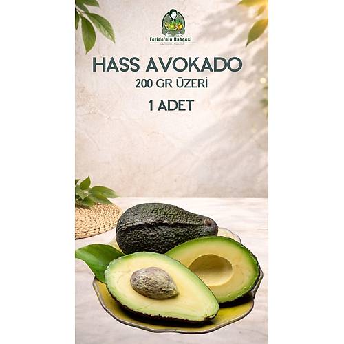 HASS AVOKADO 200 GR VE ÜZERİ