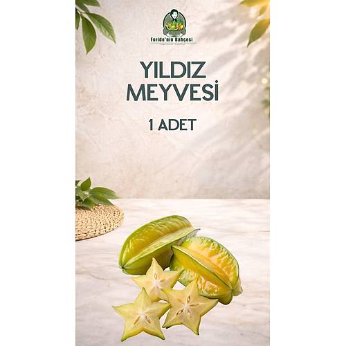 YILDIZ MEYVESİ ADET