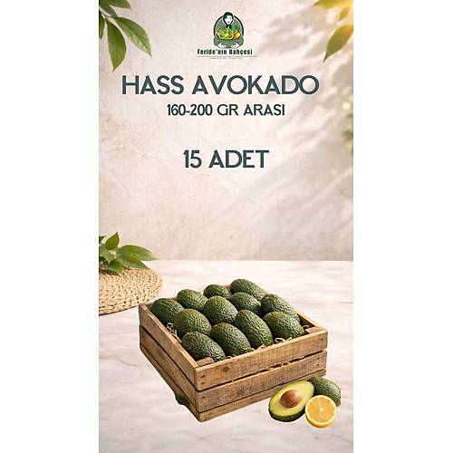 15 HASS AVOKADO (160-200 GR ARASI)