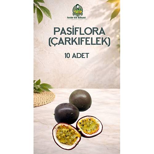 PASİFLORA 10 ADET