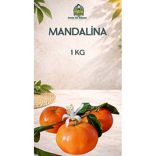 MANDALİNA (1 KG)