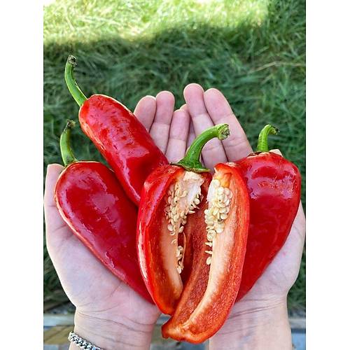 TAZE KAPYA BİBER 1 KG görseli.