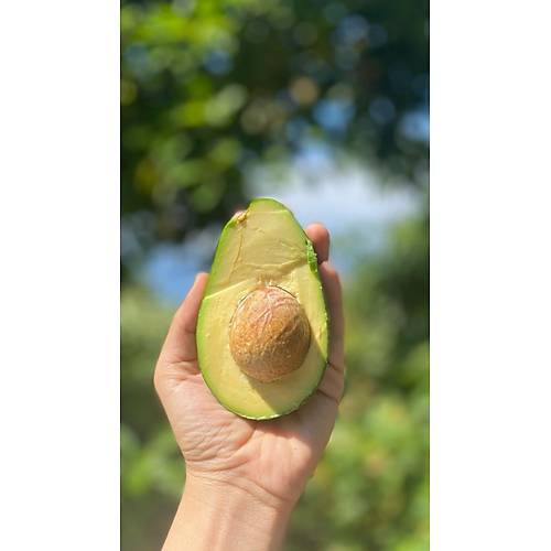 AVOKADO CLİFTON ADET 250 GR ÜZERİ görseli.