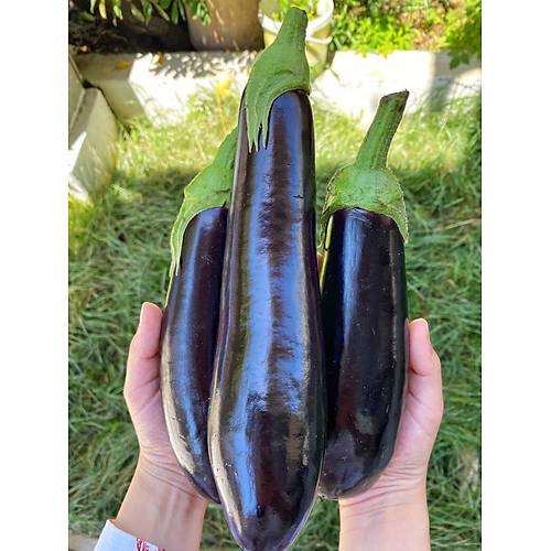 TAZE SİVRİ PATLICAN 1 KG görseli.