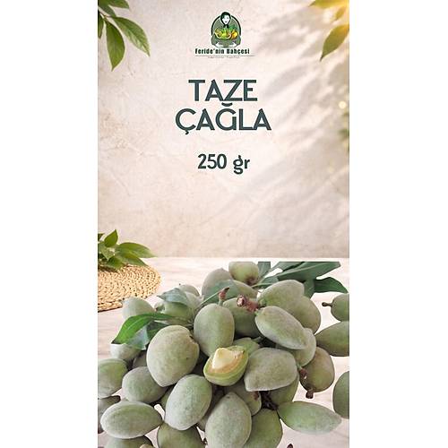 TAZE ÇAĞLA (250 GR)