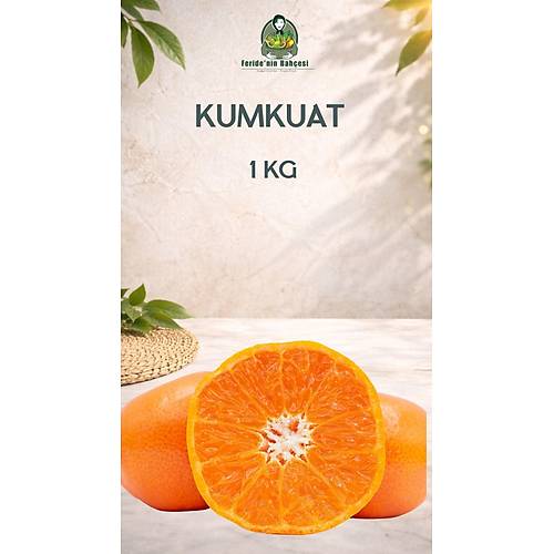 TAZE KUMKUAT (1 KG )