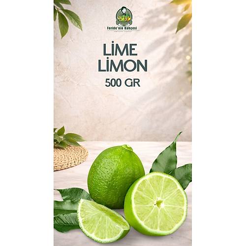 LİME LİMON 500 GR