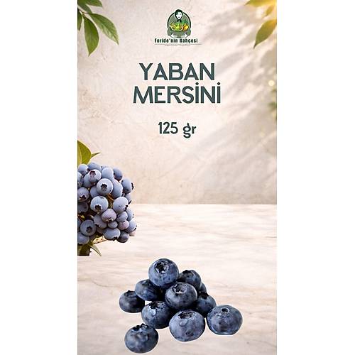 DOĞAL YABAN MERSİNİ (BLUEBERRY) 125 GR