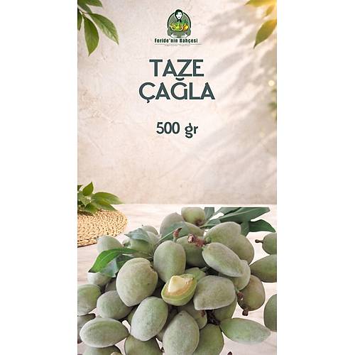 TAZE ÇAĞLA (500 G)