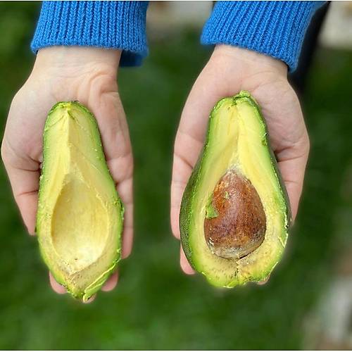 FUERTE AVOKADO 1 KG görseli.