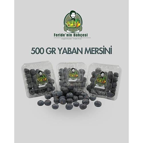 DO�AL YABAN MERS�N� (BLUEBERRY) 500 GR