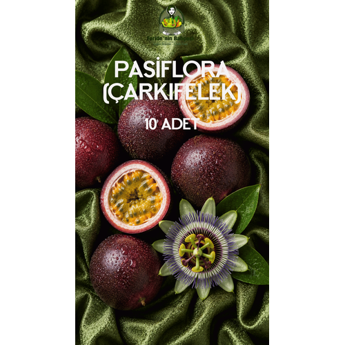 PAS�FLORA 10 ADET