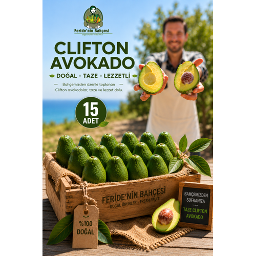 AVOKADO CL�FTON 15 ADET 250 GR �ZER�