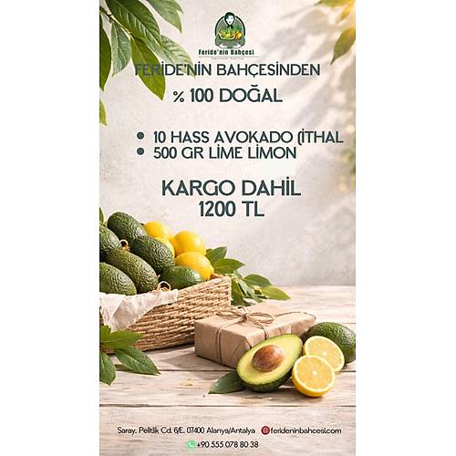 10 ADET AVOKADO + 500 GR L�ME