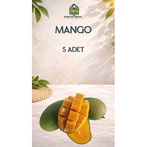 MANGO 5 ADET