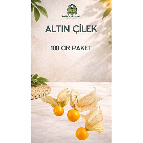 ALTIN ��LEK 100 GR