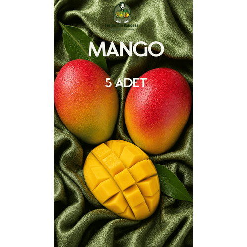 MANGO 5 ADET