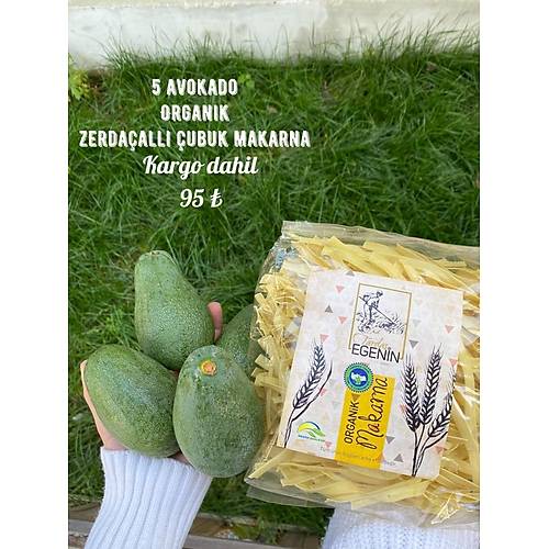ORGANK MAKARNALI PAKET