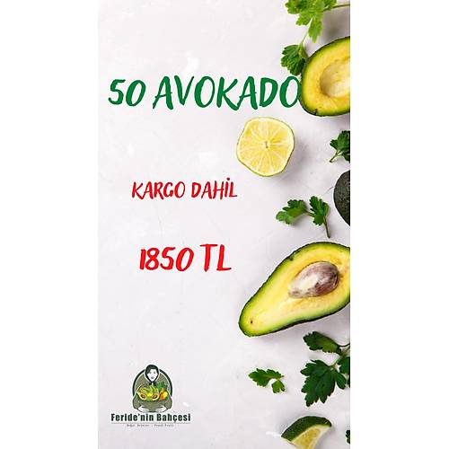 50 AVOKADO