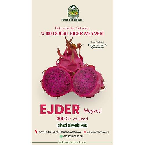 PTAYA (EJDER MEYVES)  (300 GR ZER)
