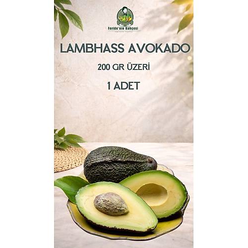 LAMBHASS AVOKADO 200 GR VE �ZER�