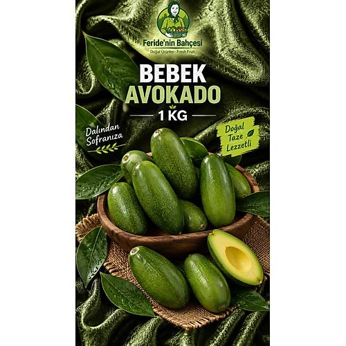 BEBEK AVOKADO  (1 KG) (15-20 Adet)
