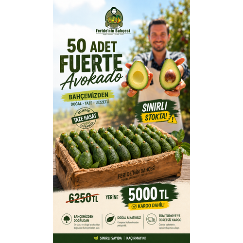 AVOKADO FUERTE 50 ADET