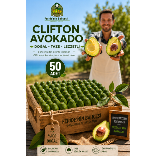 AVOKADO CL�FTON 50 ADET