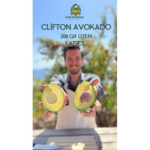 AVOKADO CL�FTON ADET 200 GR �ZER�