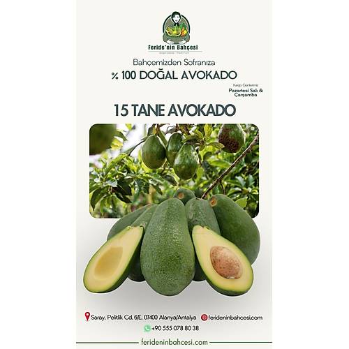 15 ADET FUERTE AVOKADO
