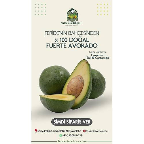 FUERTE AVOKADO 1 KG