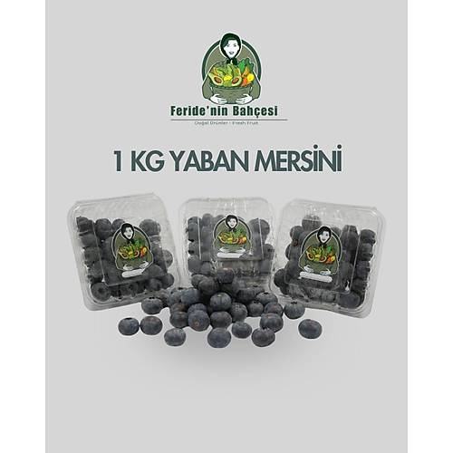 DO�AL YABAN MERS�N� (BLUEBERRY)  ( 1 KG )