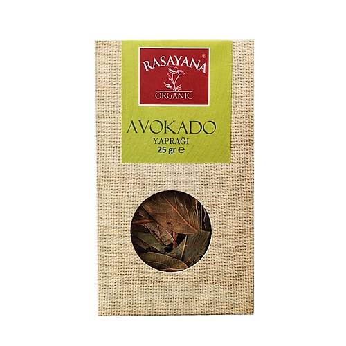 Organik Avokado Yapra Bitki ay