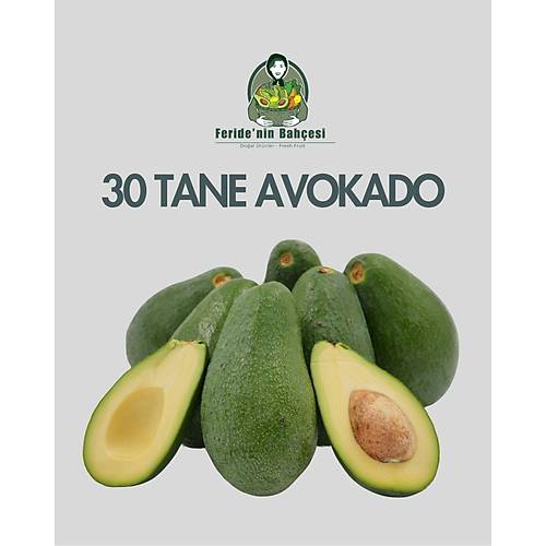 30 ADET FUERTE AVOKADO