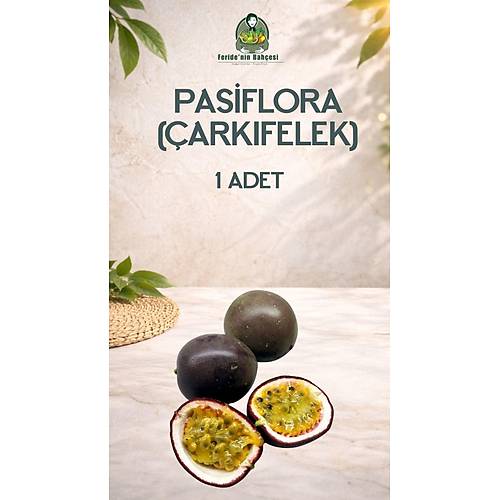 PAS�FLORA (�ARKIFELEK) ADET