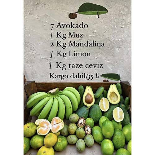 HAFTANIN PAKET
