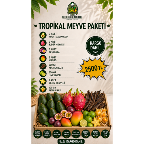 TROP�KAL MEYVE PAKET�