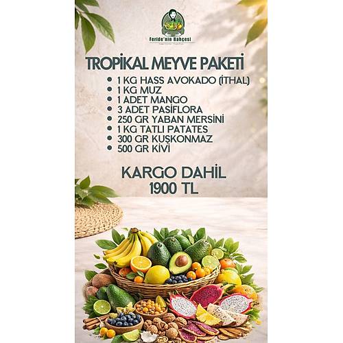 TROP�KAL MEYVE PAKET�