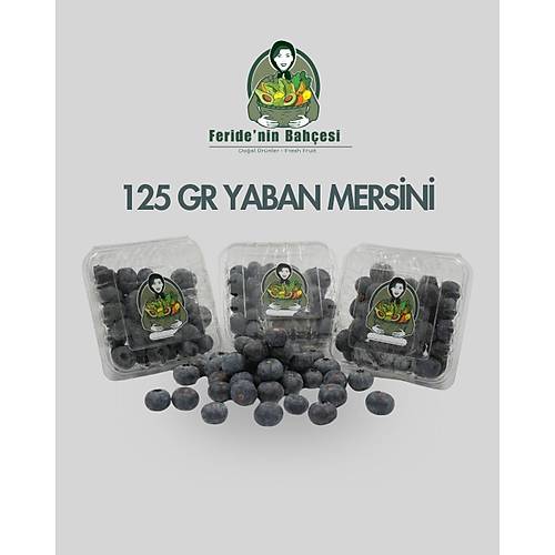 DO�AL YABAN MERS�N� (BLUEBERRY)  125 GR