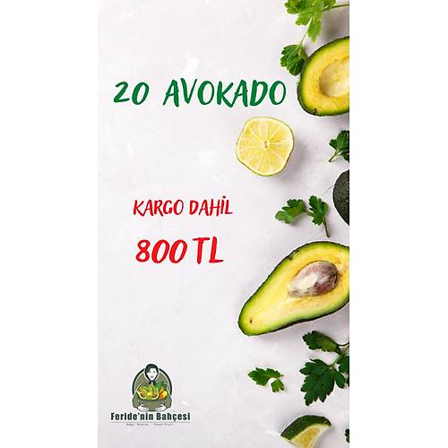 20 FUERTE AVOKADO