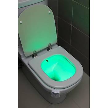 Toiled 8 Renkli Sensrl Banyo Gece Aydnlatmas