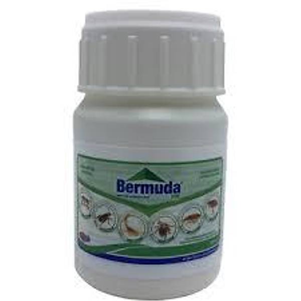 Bermuda EW Genel Haere ldrc 50 ml