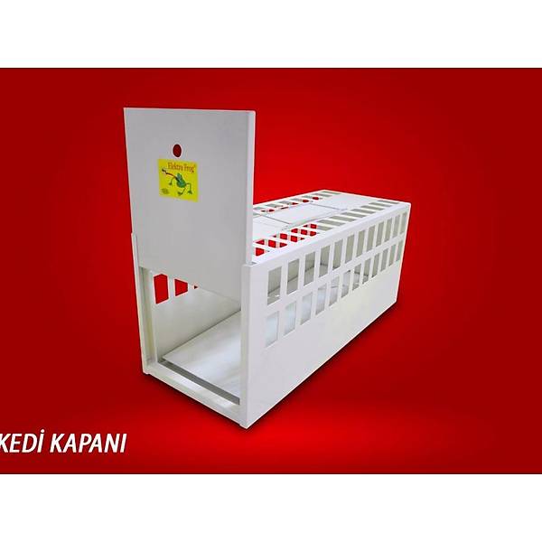 Kedi - Tavan - Sincap Yakalama Kapan