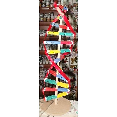 DNA MODEL (RENC TP)