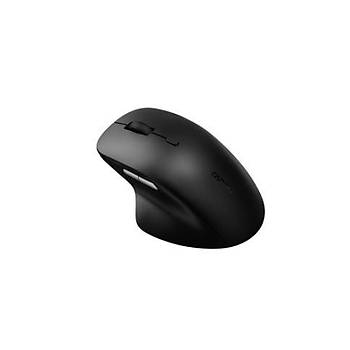M50Plus 3600 DPI 2.4GHz Sessiz Siyah Nano USB Alcl Kablosuz Mouse