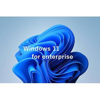Windows 11 Enterprise Dijital Lisans Anahtarý 32/64 bit