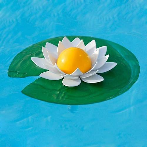Lotus / Nilüfer Havuz Termometresi