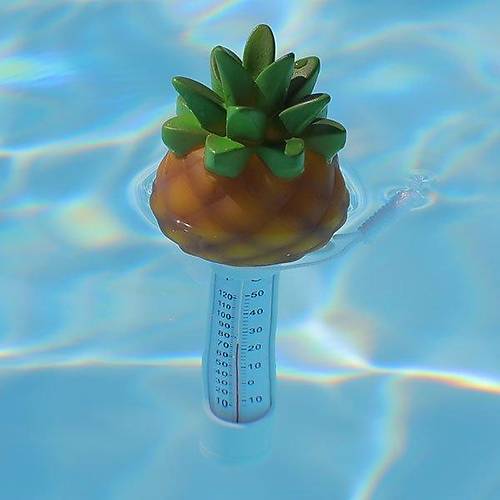 Ananas yüzme havuzu termometresi, Havuz Termometresi
